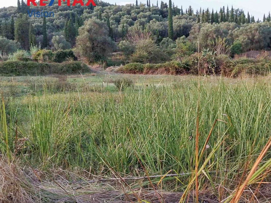 Οικόπεδο 4858 τ.μ., Προς πώληση, Κέρκυρα - 4