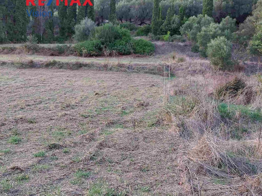 Οικόπεδο 4858 τ.μ., Προς πώληση, Κέρκυρα - 5