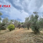 Αγροτεμάχιο 3037 τ.μ., Προς πώληση, Αιγιάλεια, Λόγγος (958878) - 1
