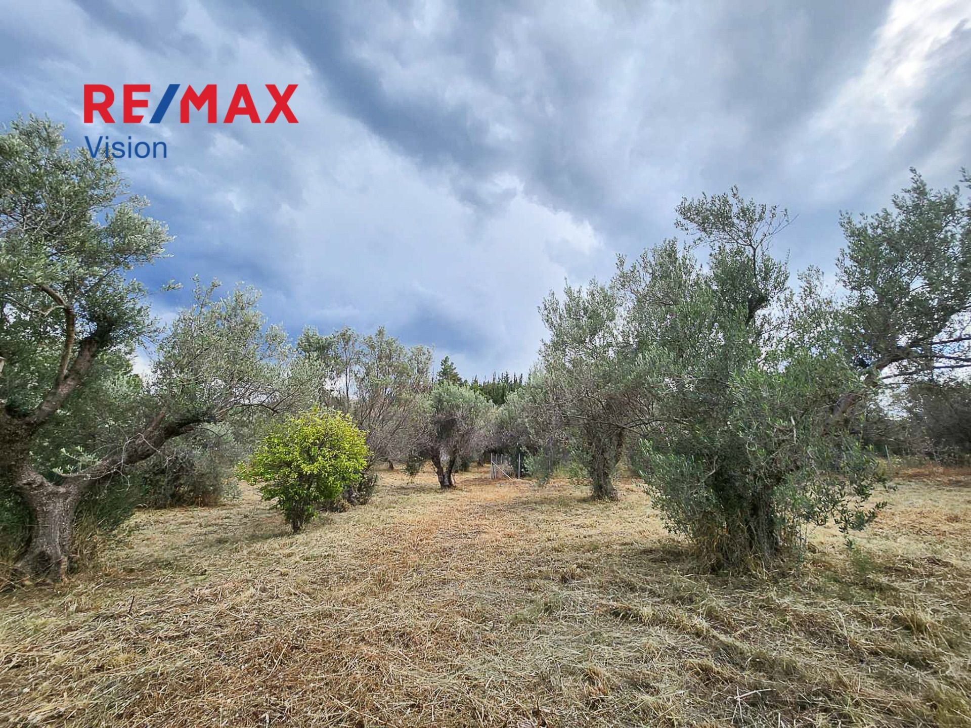 958878 – 1 Αγροτεμάχιο 3037 τ.μ., Προς πώληση, Αιγιάλεια, Λόγγος - 1