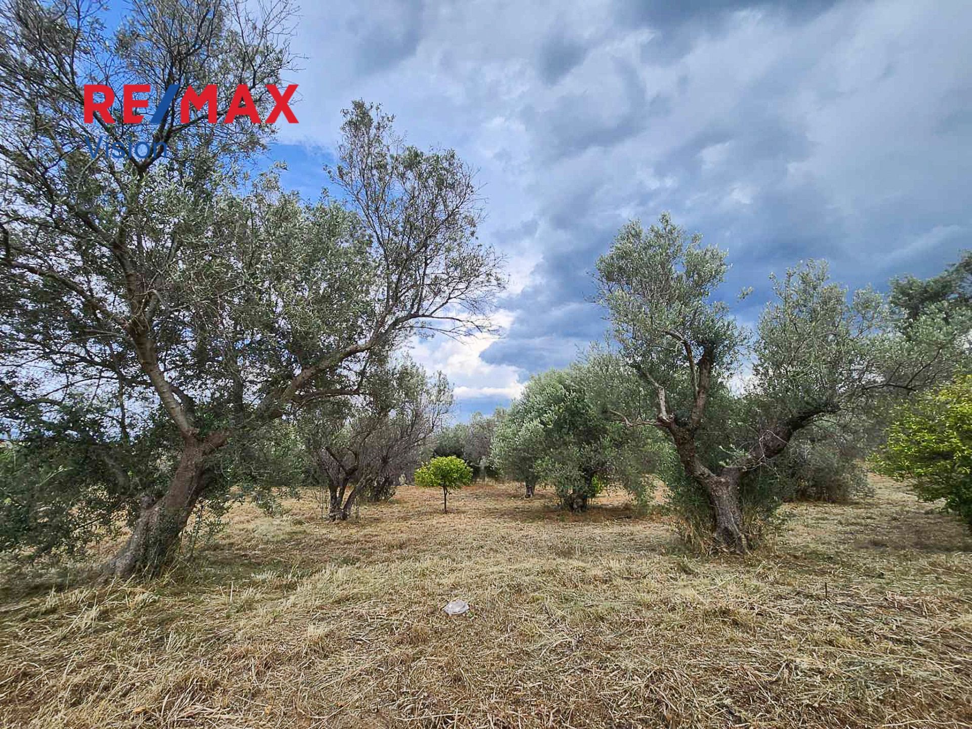 958878 – 2 Αγροτεμάχιο 3037 τ.μ., Προς πώληση, Αιγιάλεια, Λόγγος - 2