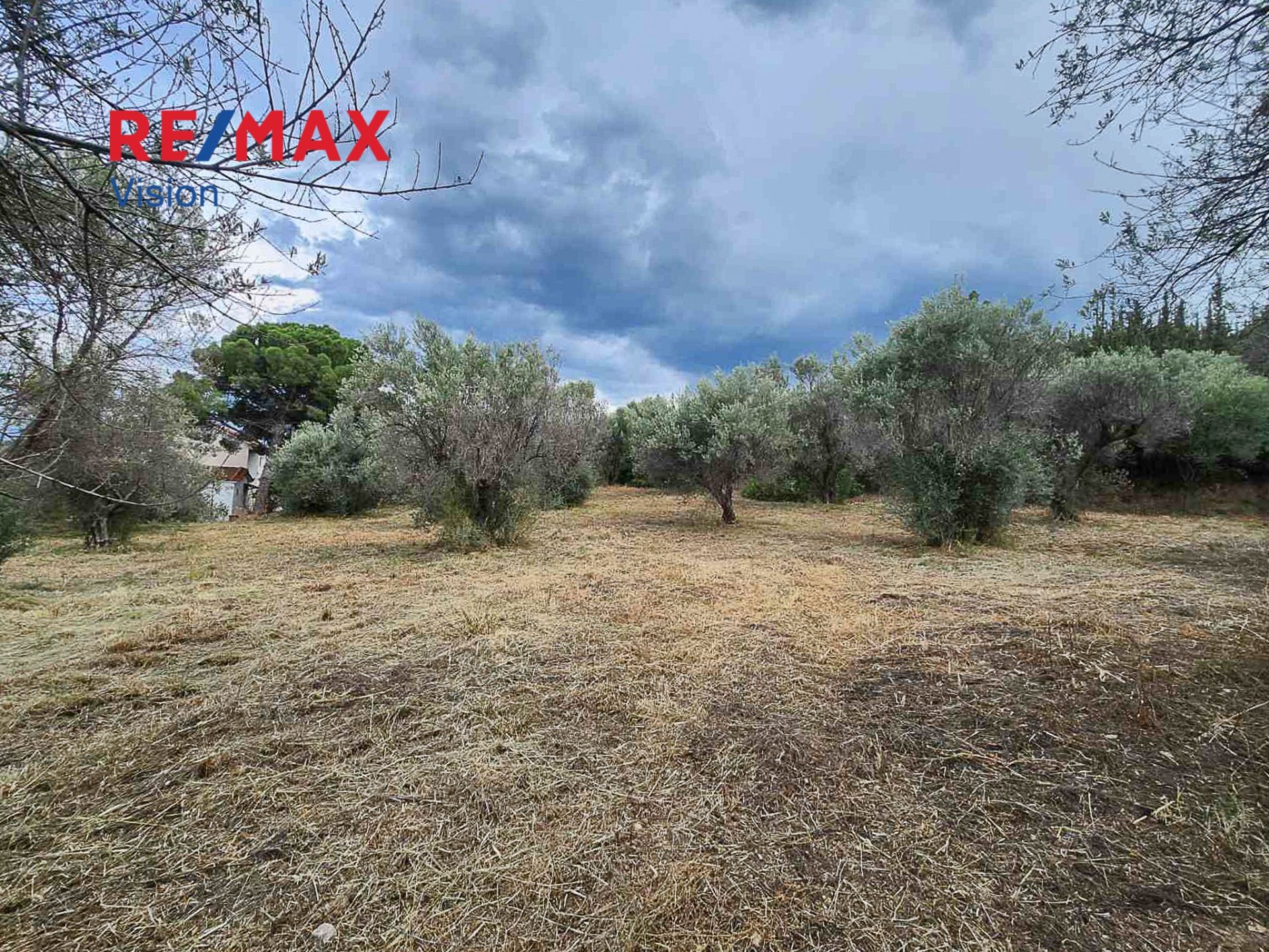 958878 – 4 Αγροτεμάχιο 3037 τ.μ., Προς πώληση, Αιγιάλεια, Λόγγος - 4