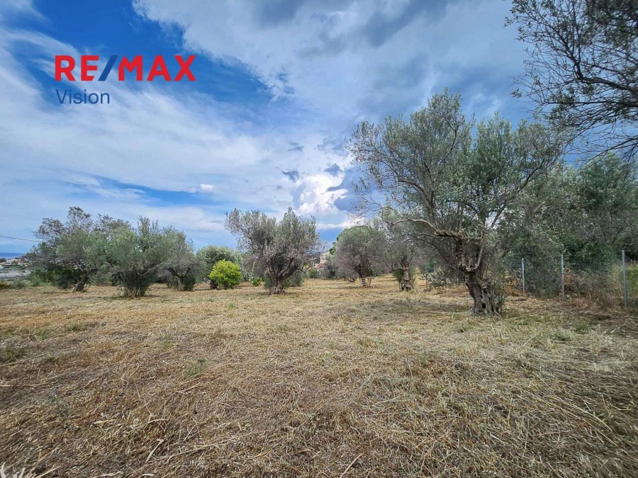 Αγροτεμάχιο 3037 τ.μ., Προς πώληση, Αιγιάλεια, Λόγγος - 5