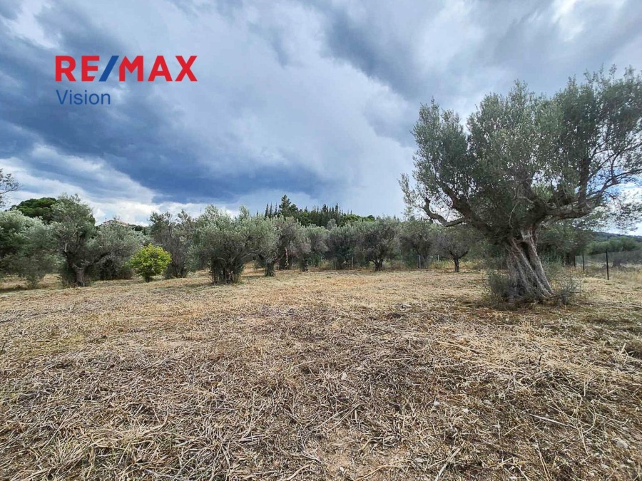 Αγροτεμάχιο 3037 τ.μ., Προς πώληση, Αιγιάλεια, Λόγγος - 6