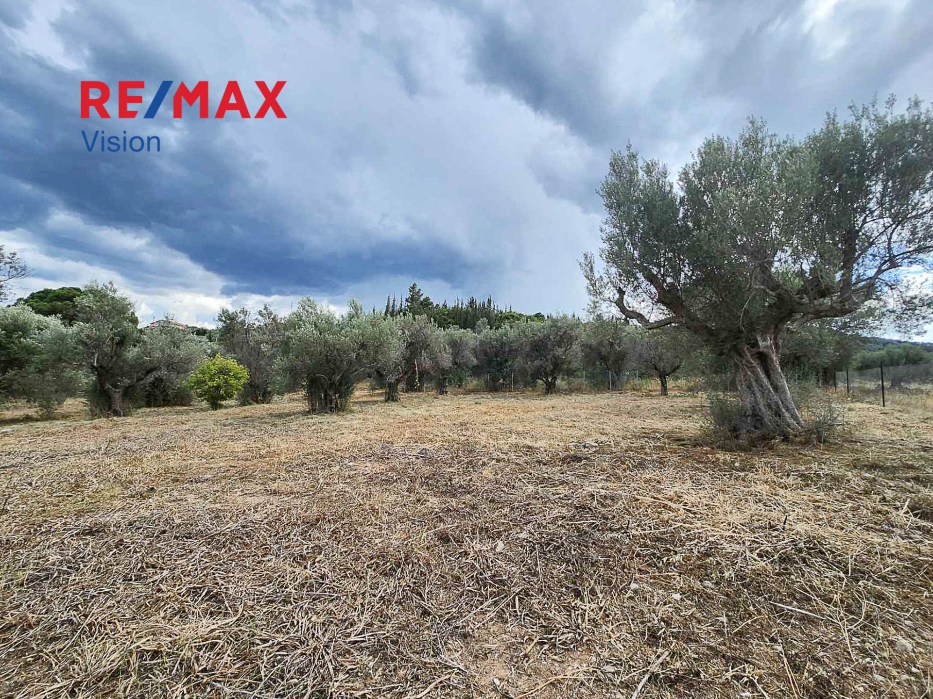 958878 – 6 Αγροτεμάχιο 3037 τ.μ., Προς πώληση, Αιγιάλεια, Λόγγος - 6