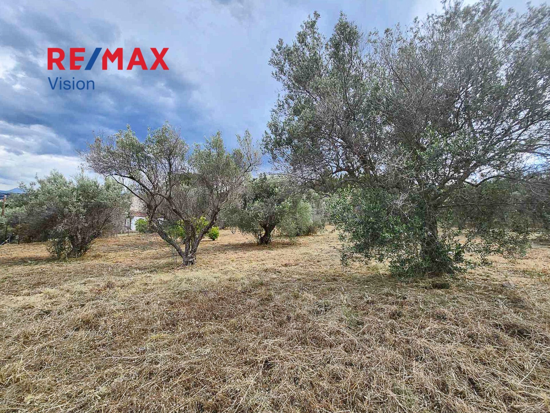 958878 – 8 Αγροτεμάχιο 3037 τ.μ., Προς πώληση, Αιγιάλεια, Λόγγος - 8