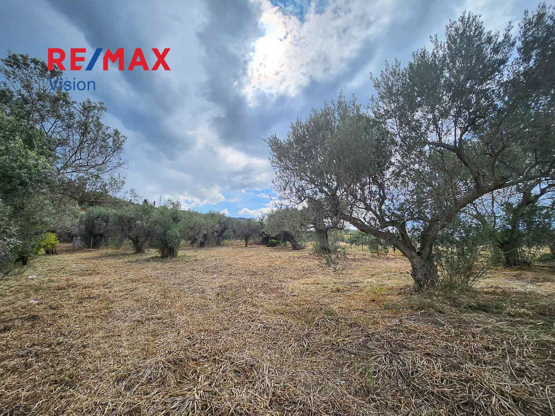 958878 – 9 Αγροτεμάχιο 3037 τ.μ., Προς πώληση, Αιγιάλεια, Λόγγος - 9