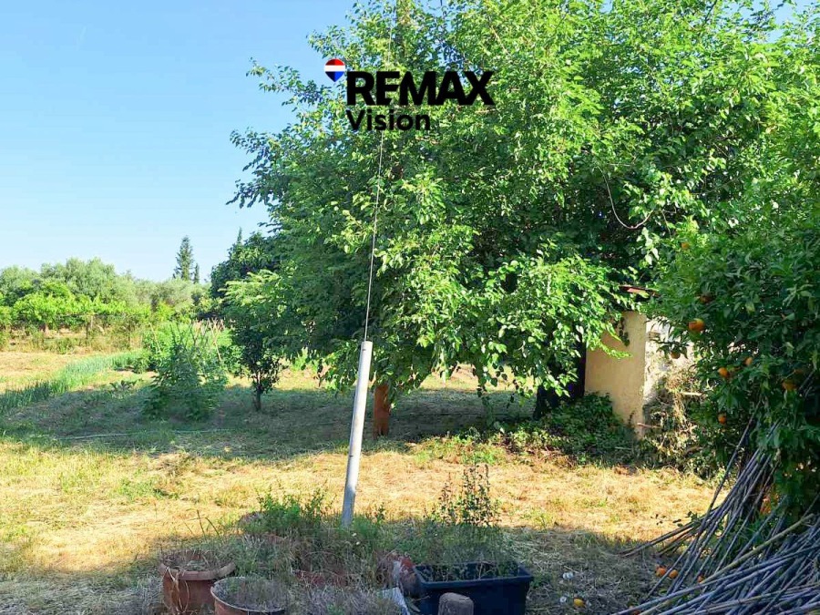 Αγροτεμάχιο 2000 τ.μ., Προς πώληση, Παραλία, Κέντρο - 3