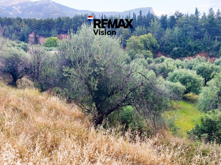 2420181 – Οικόπεδο Προς Πώληση, Πάτρα, 2.430 τ.μ., €125.000 - 2