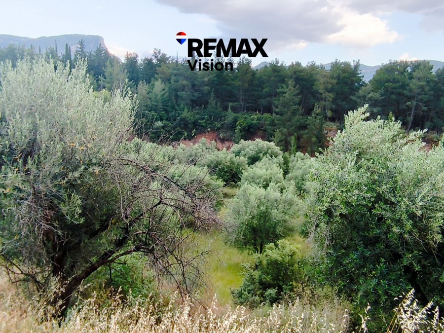 2420181 – Οικόπεδο Προς Πώληση, Πάτρα, 2.430 τ.μ., €125.000 - 4
