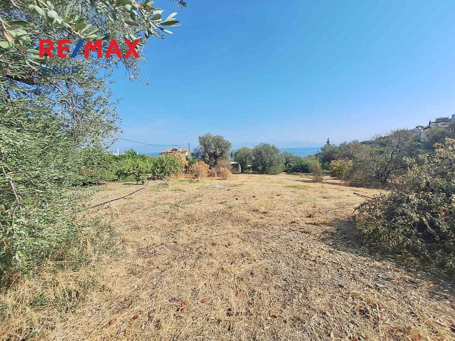 Οικόπεδο 1220 τ.μ., Προς πώληση, Ευρωστίνη, Ροζενά - 5