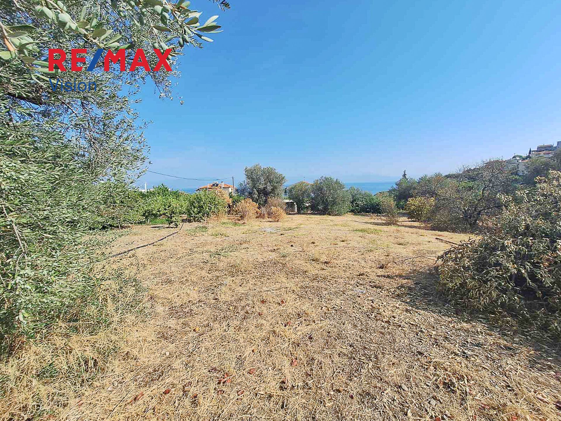 1099906 – 5 Οικόπεδο 1220 τ.μ., Προς πώληση, Ευρωστίνη, Ροζενά - 5