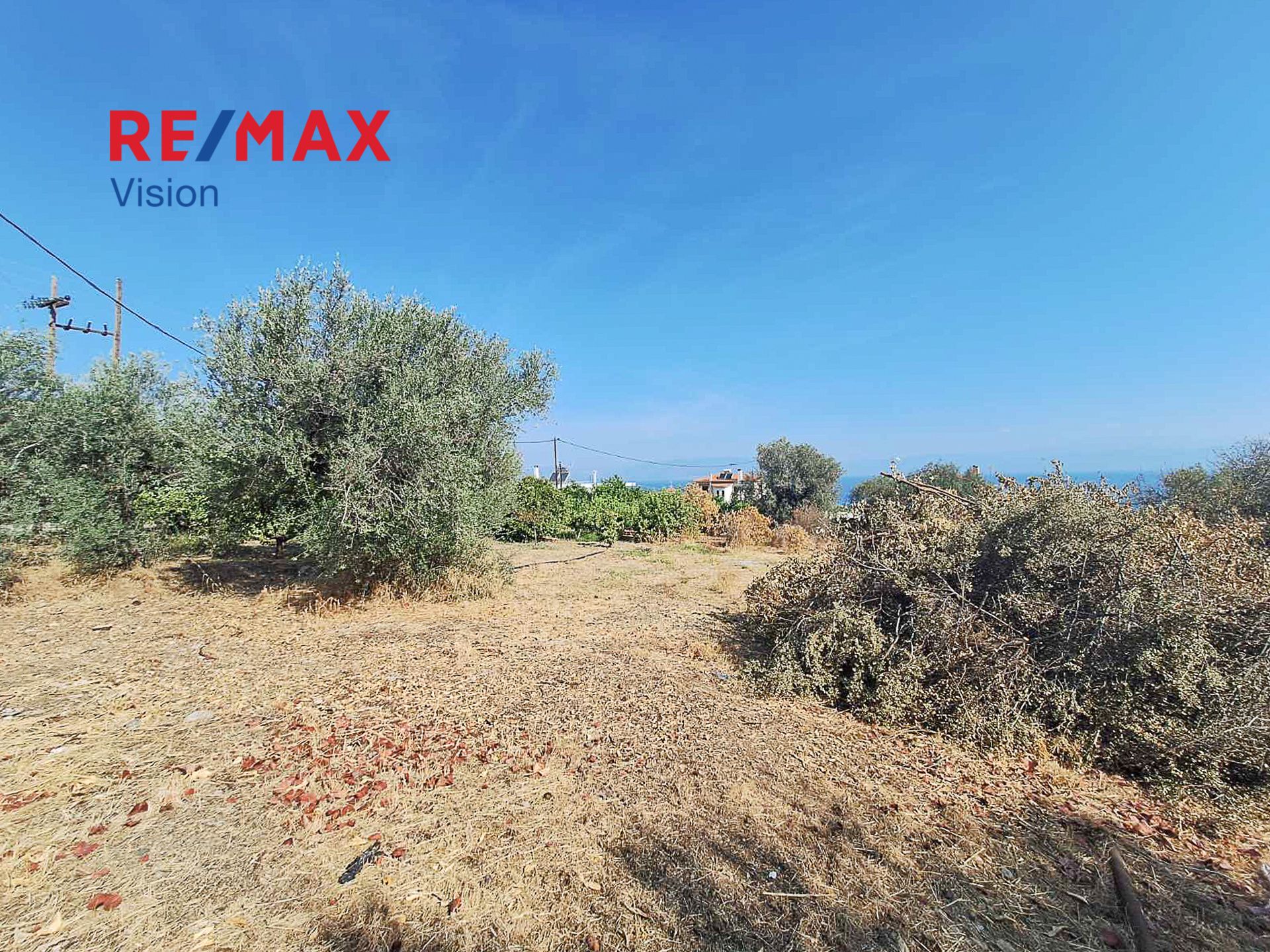 1099906 – 6 Οικόπεδο 1220 τ.μ., Προς πώληση, Ευρωστίνη, Ροζενά - 6