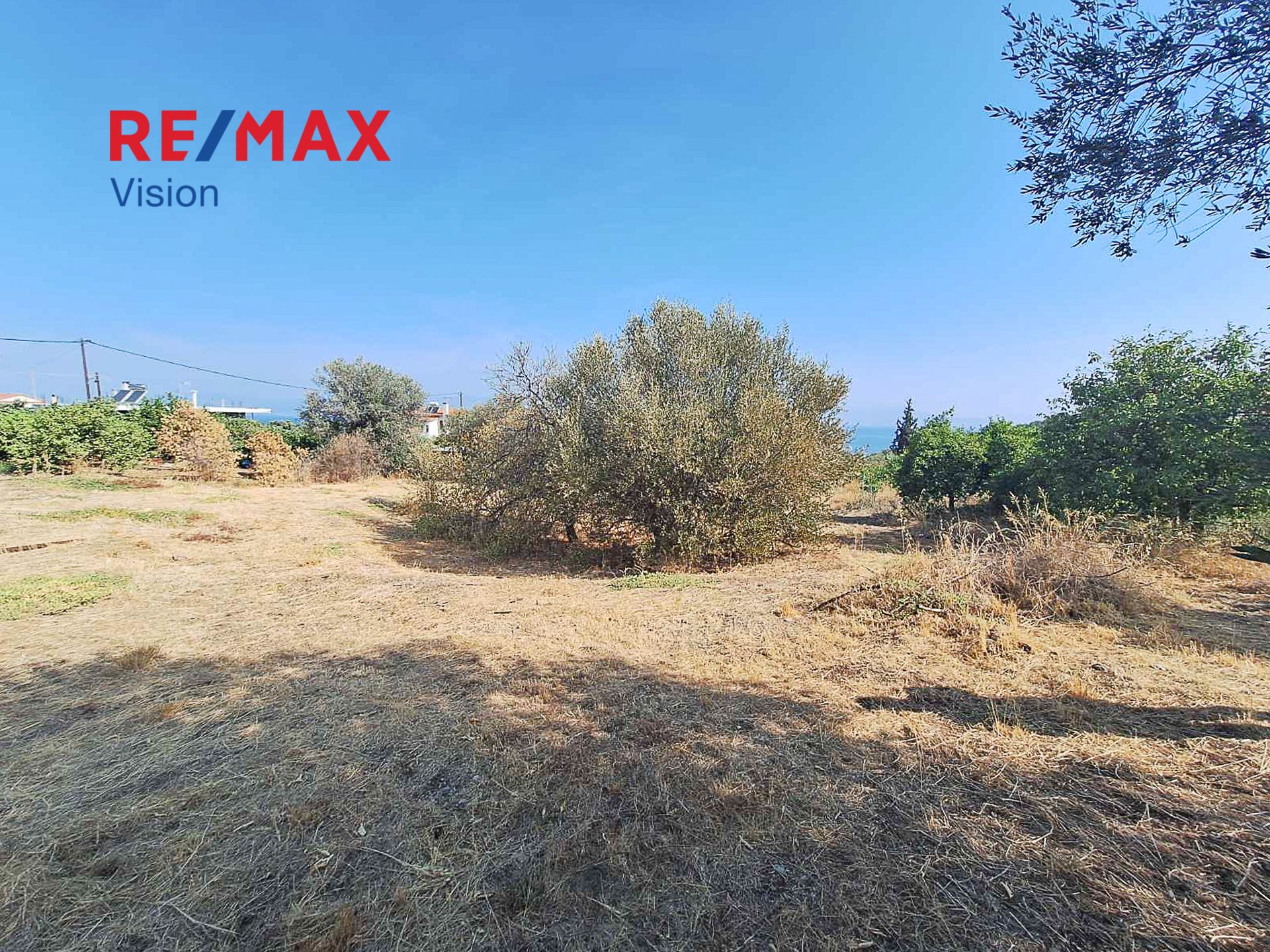 1099906 – 7 Οικόπεδο 1220 τ.μ., Προς πώληση, Ευρωστίνη, Ροζενά - 7