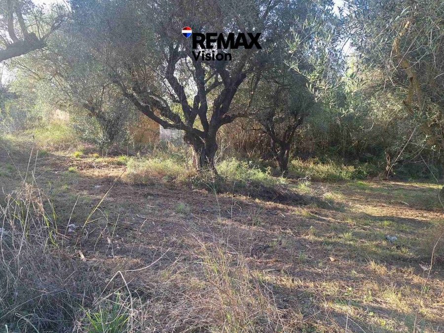 Οικόπεδο, Προς πώληση, Ωλένια - 4