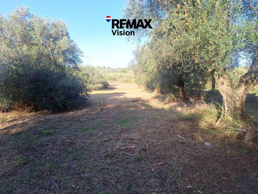 Οικόπεδο, Προς πώληση, Ωλένια - 6