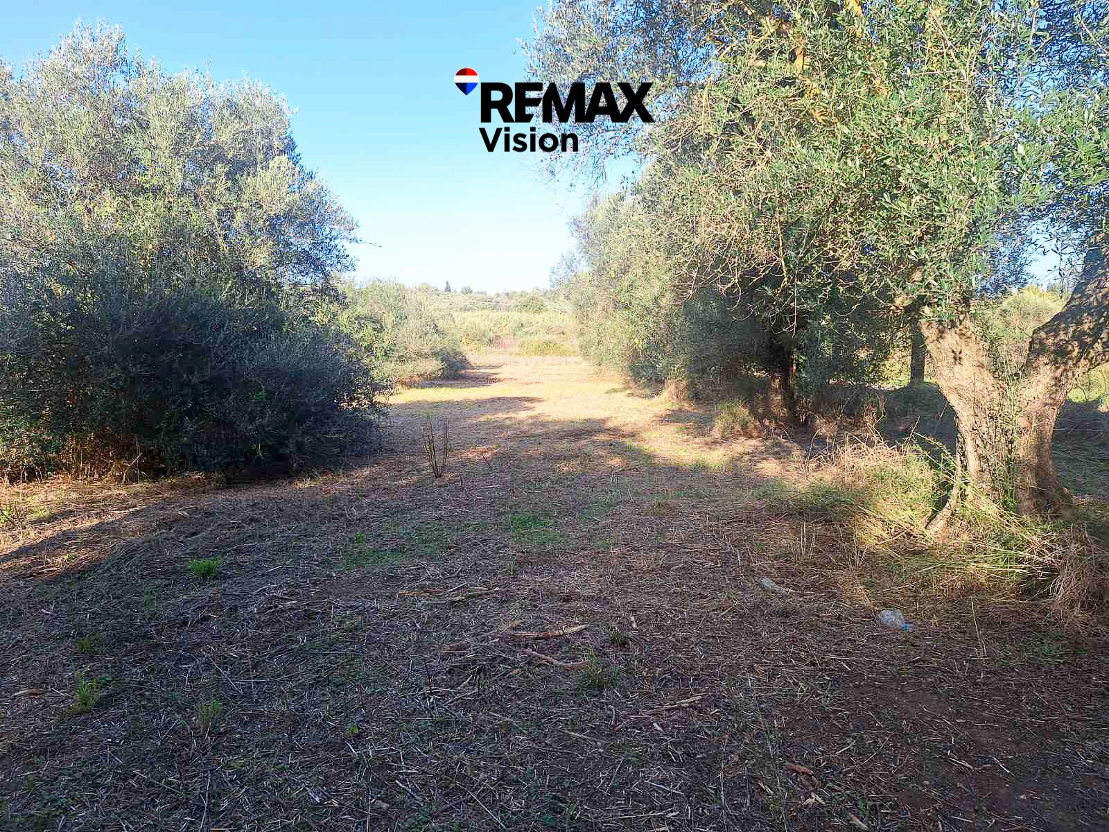 2194489 – 6 Οικόπεδο, Προς πώληση, Ωλένια - 6