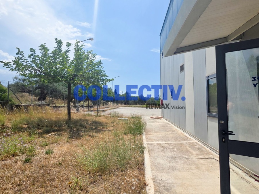 Βιομηχανικός Χώρος 600 τ.μ., Προς πώληση, Μεσσατίδα, Κρήνη - 27