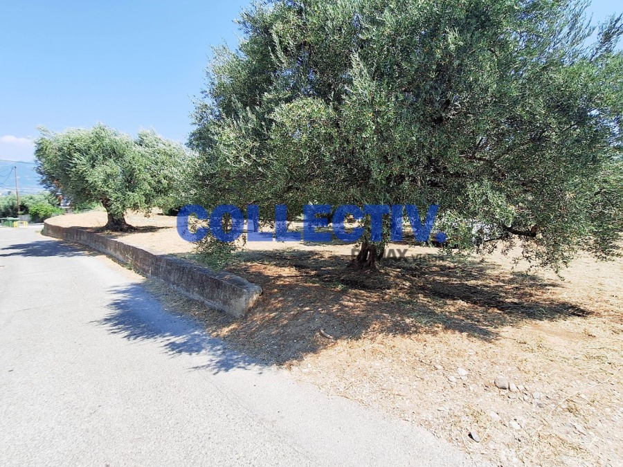 Οικόπεδο 700 τ.μ., Προς πώληση, Ρίο, Δρέπανο - 10