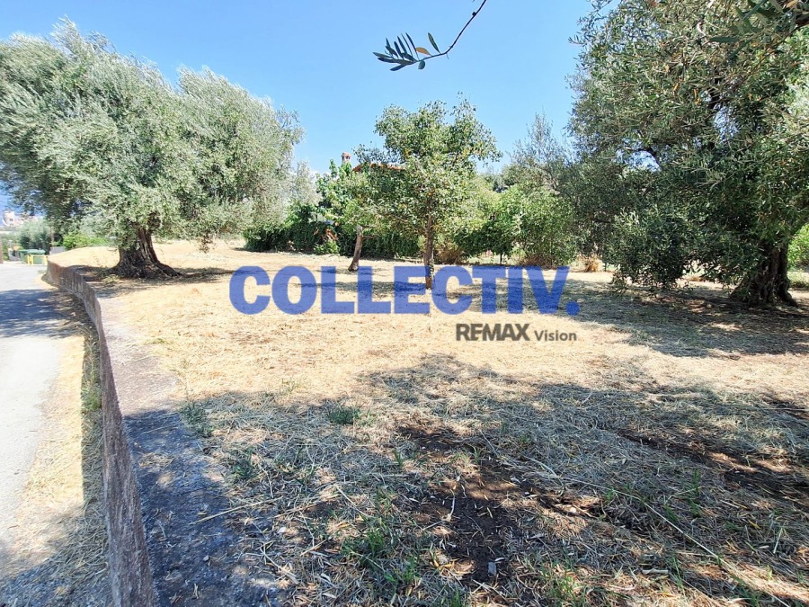 Οικόπεδο 700 τ.μ., Προς πώληση, Ρίο, Δρέπανο - 3