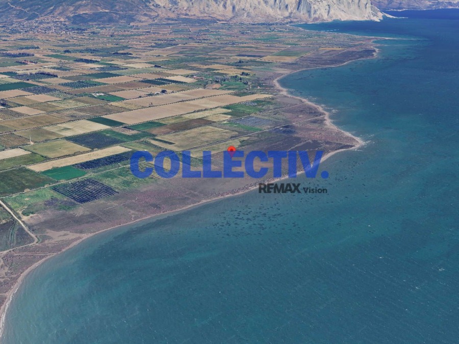 Αγροτεμάχιο 64000 τ.μ., Προς πώληση, Χάλκεια, Γαλατάς - 5