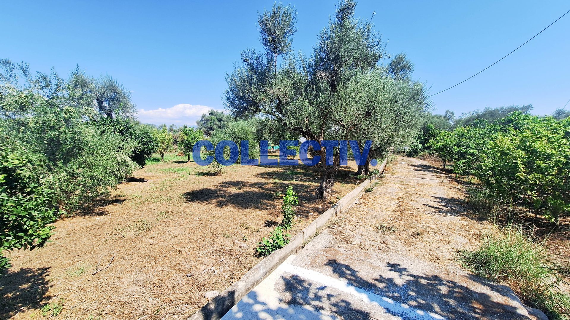 2597439 – 1 Οικόπεδο 1000 τ.μ., Προς πώληση, Αίγιο, Βαλιμίτικα (2597439) - 1