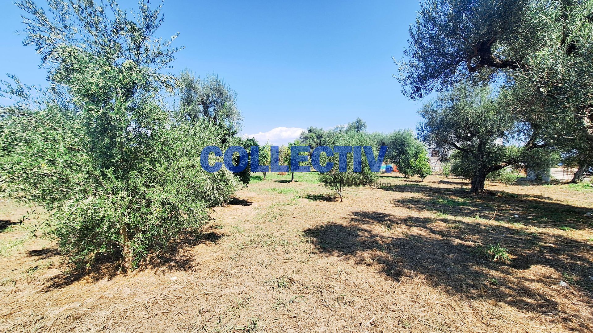 2597439 – 3 Οικόπεδο 1000 τ.μ., Προς πώληση, Αίγιο, Βαλιμίτικα (2597439) - 3