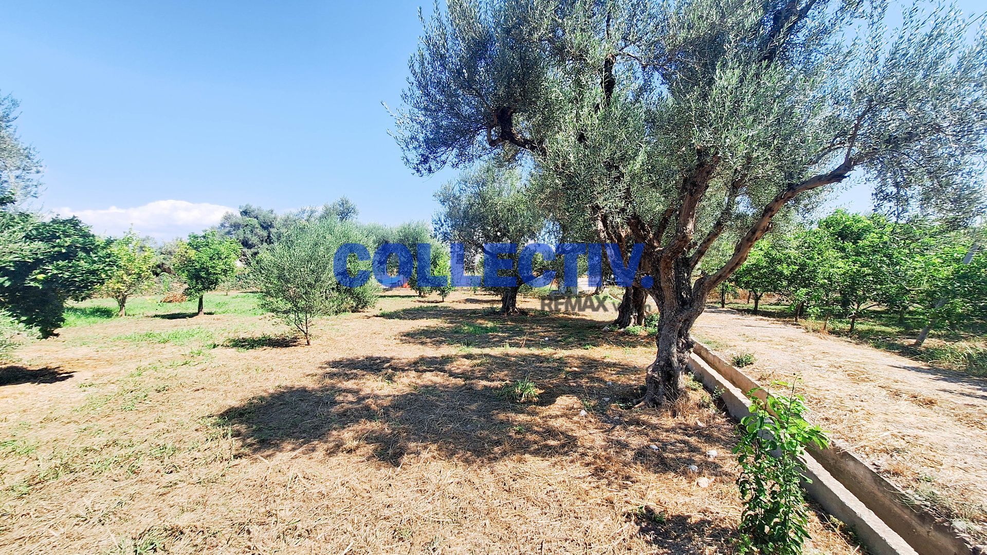 2597439 – 4 Οικόπεδο 1000 τ.μ., Προς πώληση, Αίγιο, Βαλιμίτικα (2597439) - 4