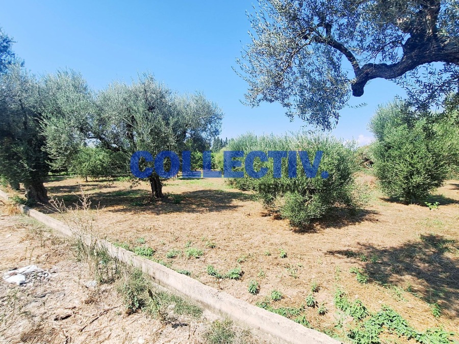 Οικόπεδο 1000 τ.μ., Προς πώληση, Αίγιο, Βαλιμίτικα (2597439) - 6