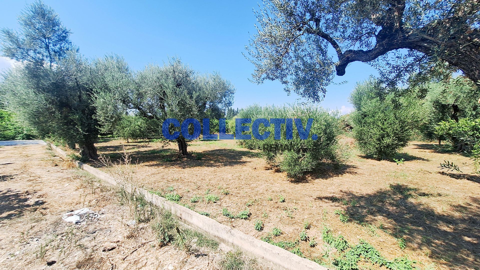 2597439 – 6 Οικόπεδο 1000 τ.μ., Προς πώληση, Αίγιο, Βαλιμίτικα (2597439) - 6