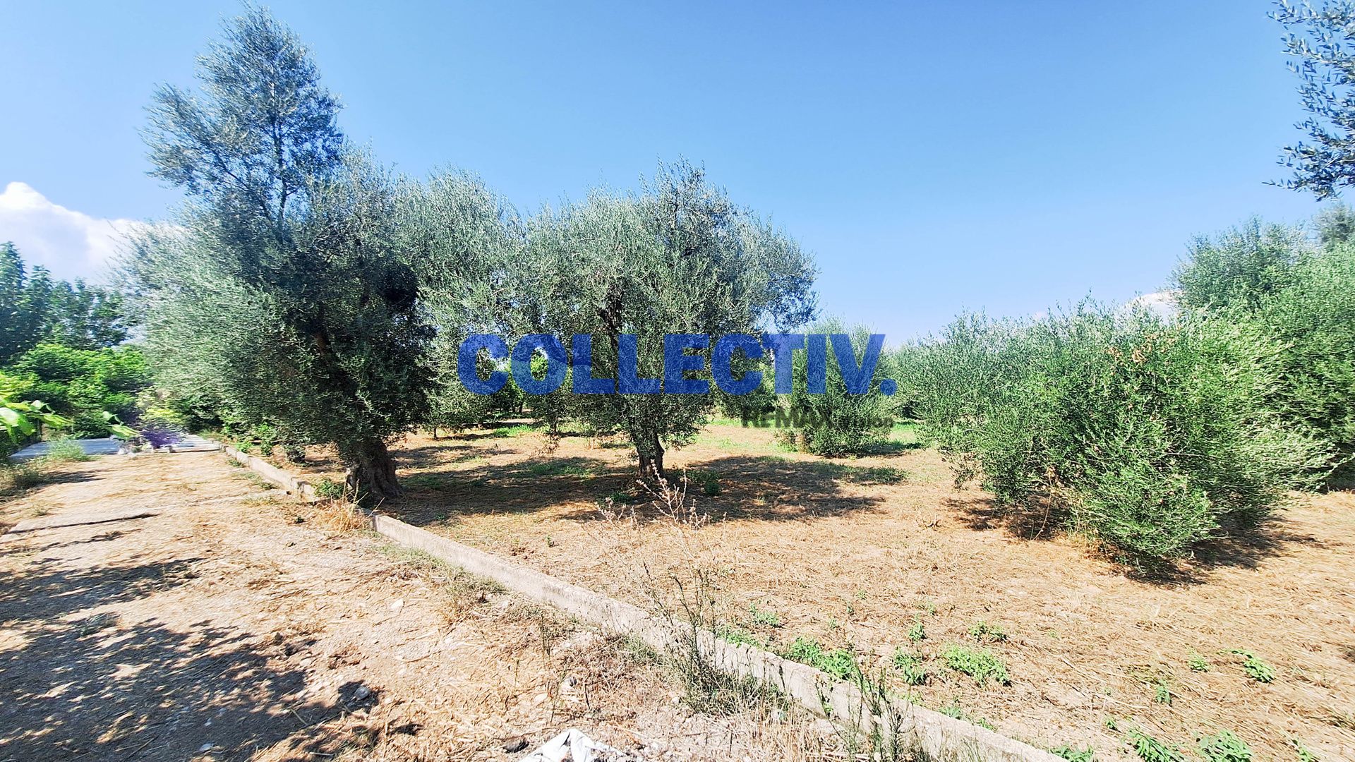 2597439 – 9 Οικόπεδο 1000 τ.μ., Προς πώληση, Αίγιο, Βαλιμίτικα (2597439) - 9