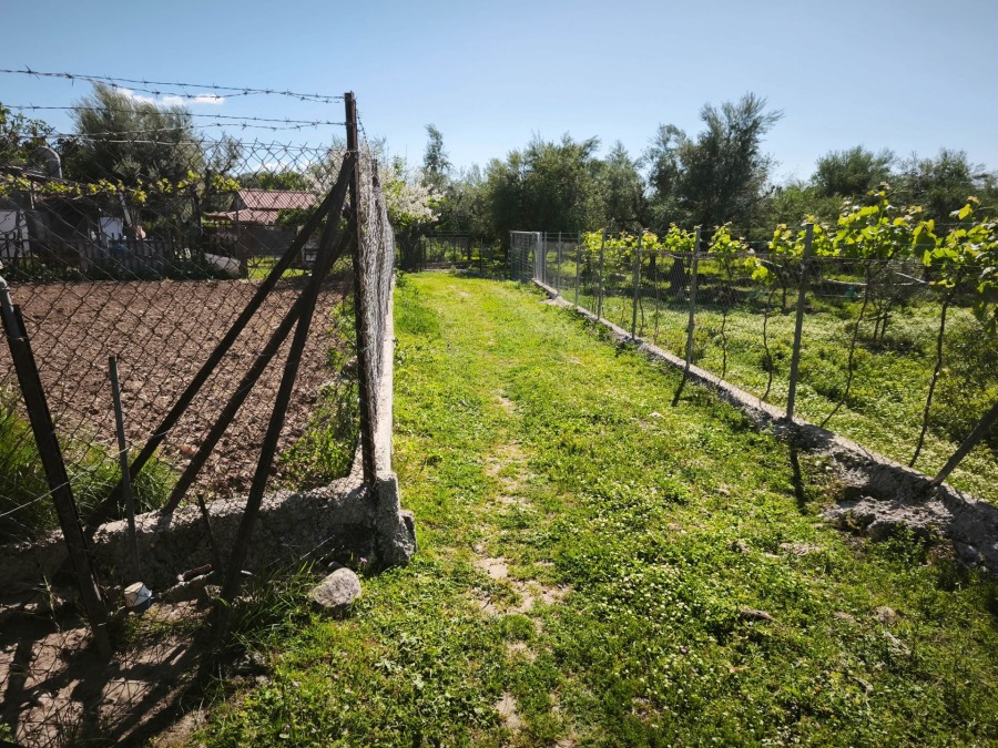 Parcel 1700 m², For sale, Messatida, Demenika (1546781) - 1
