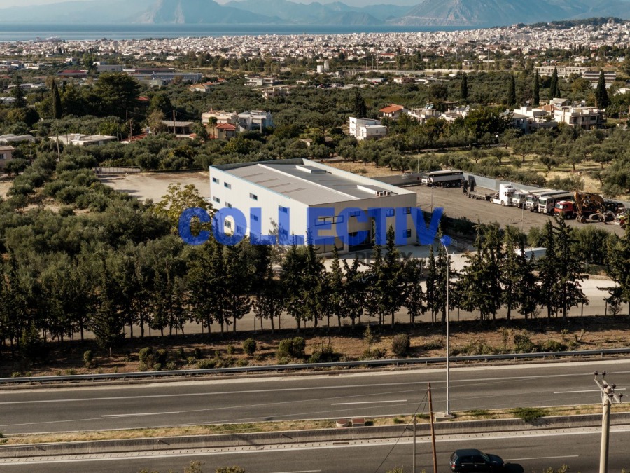 Βιοτεχνικός Χώρος 2100 τ.μ., Προς πώληση, Μεσσατίδα (2657845) - 24