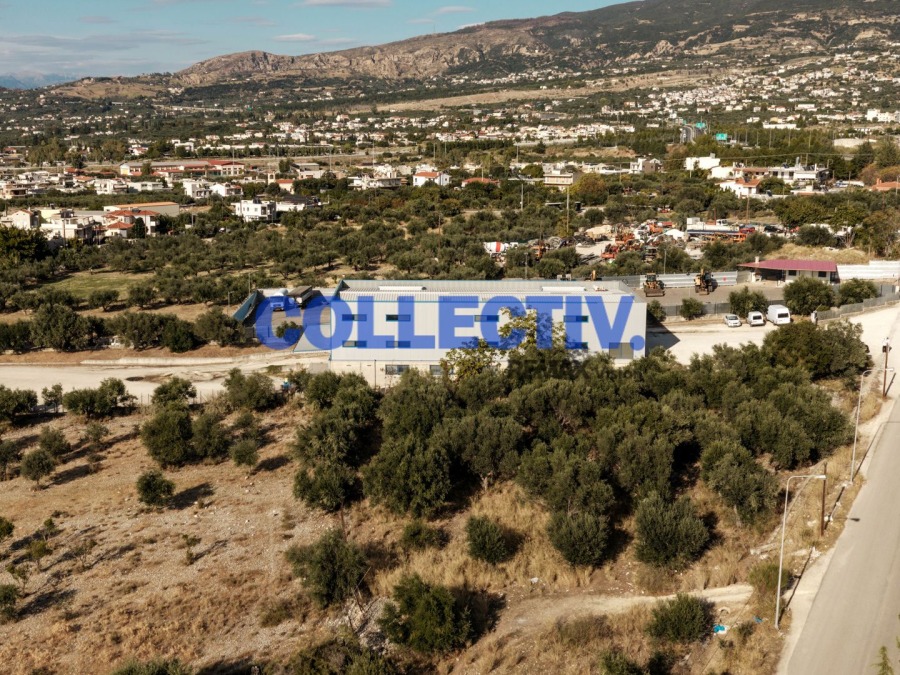 Βιοτεχνικός Χώρος 2100 τ.μ., Προς πώληση, Μεσσατίδα (2657845) - 27